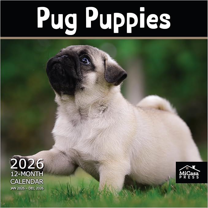 MICASA PRESS Pug Puppies 2026 Wall Calendar 12 Month | 12" x 24" Open | Thick & Sturdy Paper | Giftable | Cute Puppy Dog Calendar 2026