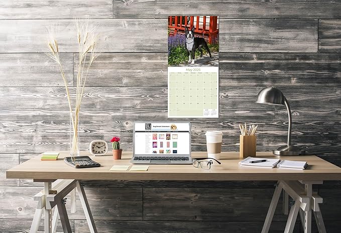 2025 2026 Boston Terrier Calendar - Dog Breed Monthly Wall Calendar - 12" x 24" Open - Thick No-Bleed Paper - Giftable - Academic Teacher's Planner Calendar Organizing & Planning - Made in USA