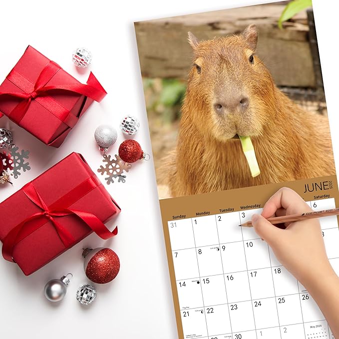 2026 Wall Calendar,Capybara Calendar 2026, Monthly Wall Calendar, 12" x 24" Open,Family Planner Calendar Organizer with funny capybara Images