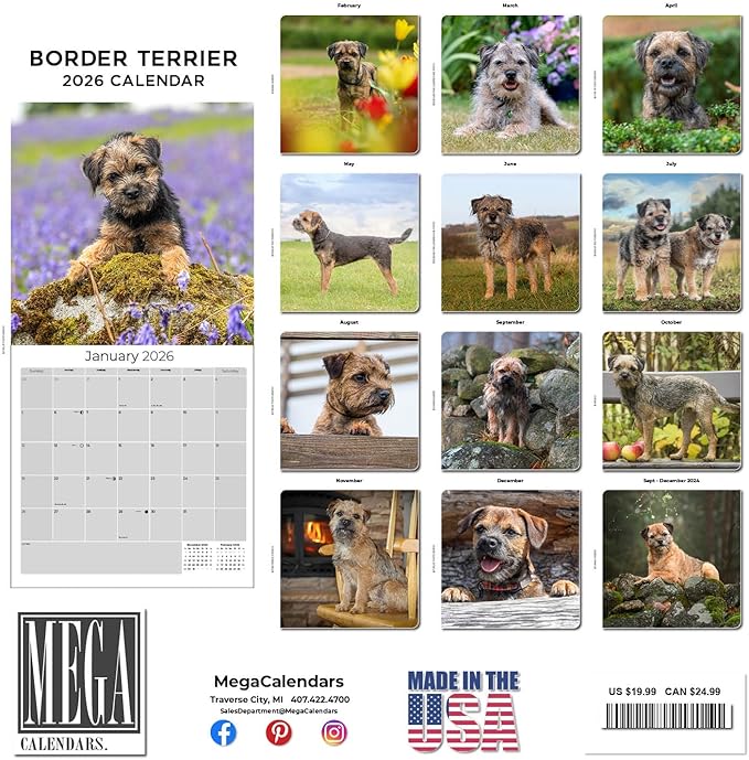 Border Terrier Calendar 2026 by MegaCalendars – Monthly Dog Breed Wall Calendar, Made in USA