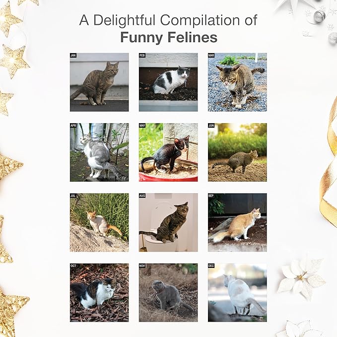 RED EMBER Funny Dooty Calls Cats 2026 Wall Calendar 12 Months | 12" x 24" Open | Thick & Sturdy Paper | Giftable | White Elephant Gifts for Adults Kitten Cat Calendar 2026
