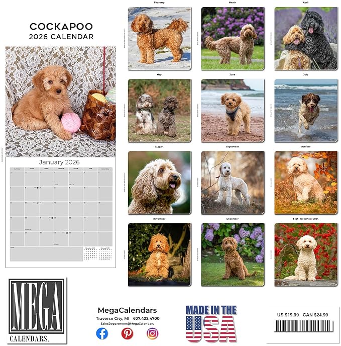 Cockapoo Calendar 2026 by MegaCalendars – Monthly Dog Breed Wall Calendar, Made in USA