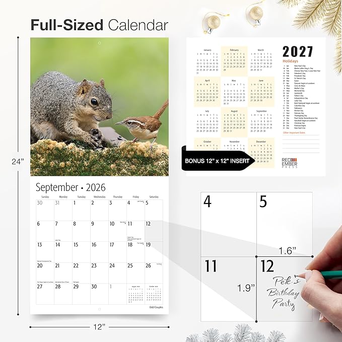 RED EMBER Odd Couples 2026 Wall Calendar 12 Month | 12” x 24” Open | Thick & Sturdy Paper | Giftable | Funny Unlikely Animal Friendships Calendar 2026