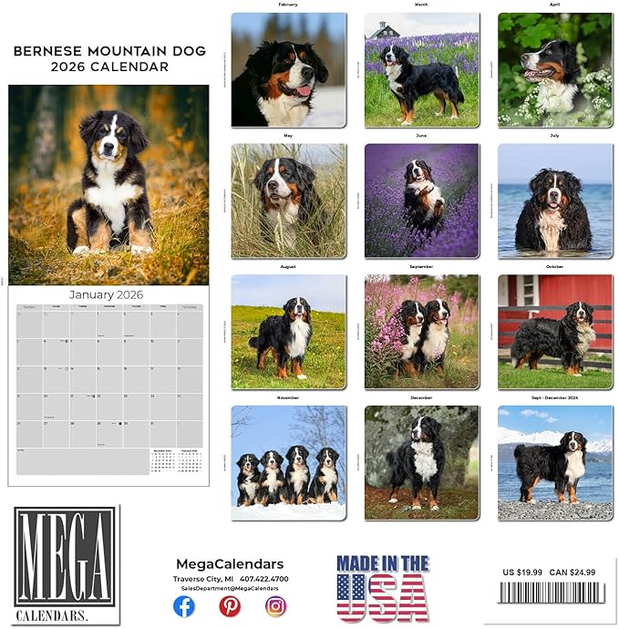 Bernese Mountain Dog Calendar 2026 – 16-Month Dog Breed Wall Calendar by MegaCalendars – Large Daily Blocks, Thick No-Bleed Paper, Made in USA