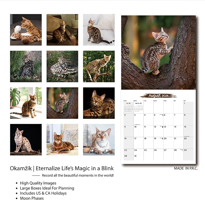 Wall Calendar 2026 Planner Calendar - Bengal Cat Hangable Monthly Wall Calendar with Large Blocks for Organizing & Planning, Academic Schedule, Home, Office & family, Thick & Sturdy Paper (12"x24" Open)