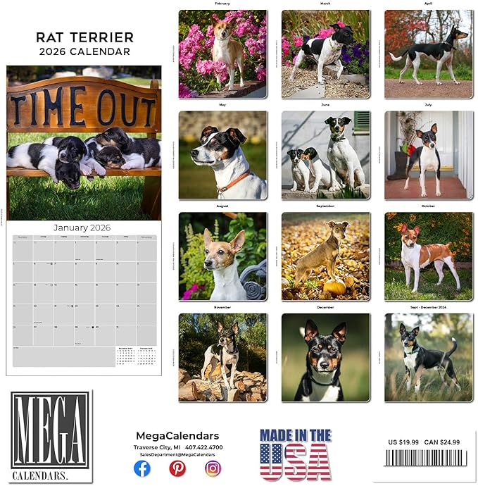 Rat Terrier Calendar 2026 by MegaCalendars – Monthly Dog Breed Wall Calendar, Made in USA