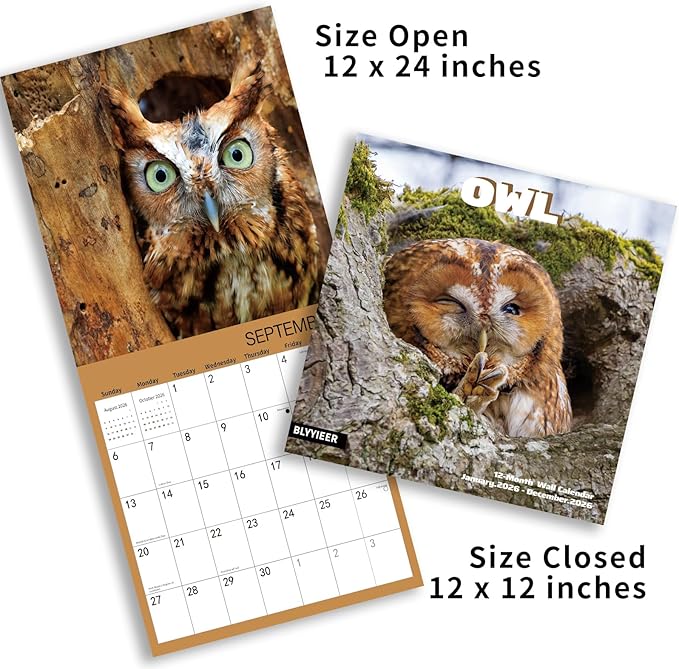 2026 Wall Calendar,Owl Calendar 2026,OWL Monthly Wall Calendar, 12" x 24" Open,Family Planner Calendar, Home & Office Organizer,Hangable