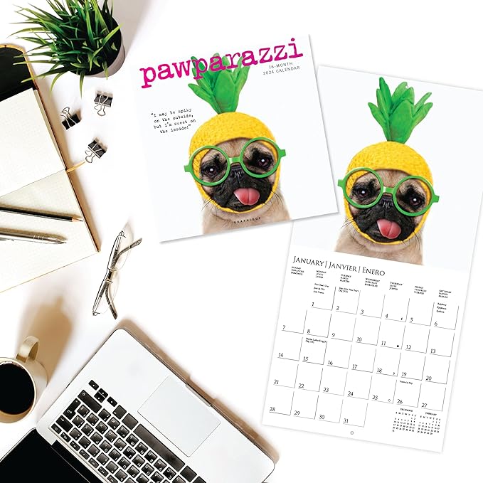 Graphique 2024 Pawparazzi Mini Wall Calendar | 7” x 7” | Thick Paper | Home & Office Organizer | Large Monthly Grid | 3 Languages & Marked Holidays | 4 Month Preview Page for 2025