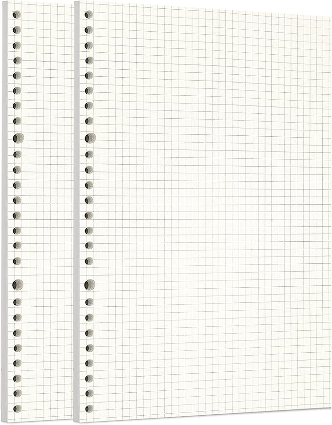 Zelten 2 Pack B5 120 Sheets/240 Pages Squared Loose Leaf Punched Paper Refills Paper for 26 Hole Binder Personal Organizer Diary Notebook Refillable Planner