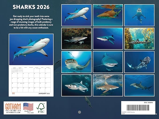 Shark Calendar 2026 Monthly Wall Calender 12 Month | American Made In The USA