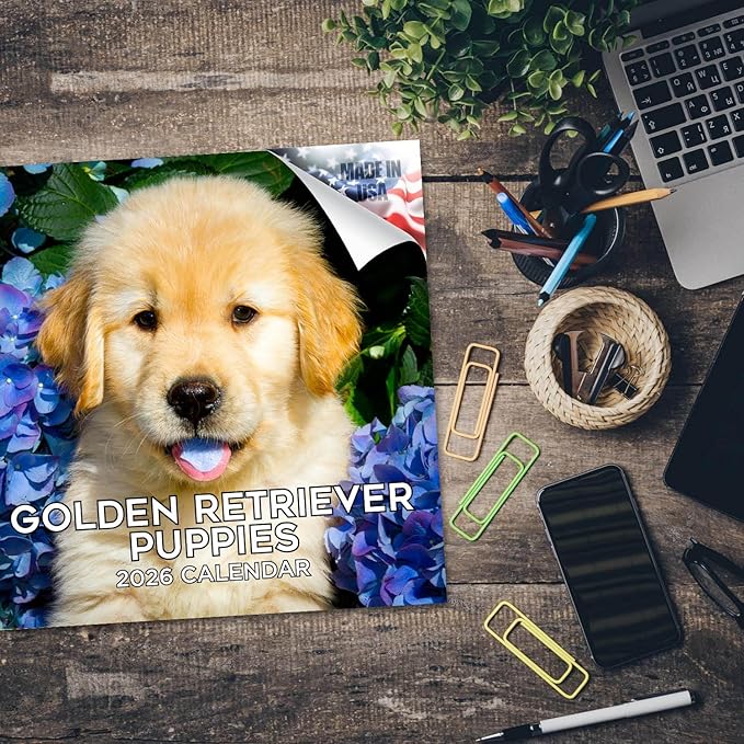 Golden Retriever Puppies Calendar 2026 – 16-Month Dog Breed Wall Calendar by MegaCalendars – Large Daily Blocks, Thick No-Bleed Paper, Made in USA