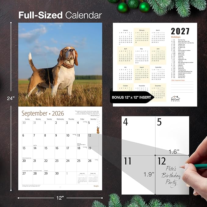 MICASA PRESS Beagles 2026 Wall Calendar 12 Month | 12" x 24" Open | Thick & Sturdy Paper | Giftable | Cute Puppy Dog Calendar 2026