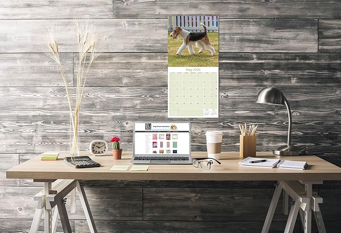 Fox Terrier Wirehaired Calendar 2026 by MegaCalendars – Monthly Dog Breed Wall Calendar, Made in USA
