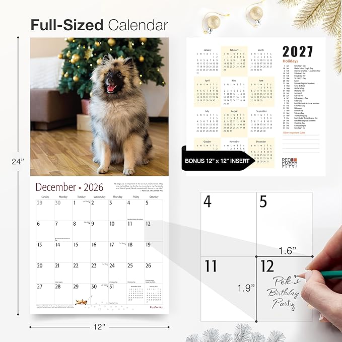 RED EMBER Keeshonden 2026 Wall Calendar 12 Month | 12" x 24" Open | Thick & Sturdy Paper | Giftable | Cute Puppy Dog Calendar 2026