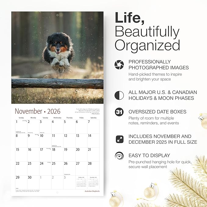 RED EMBER Australian Shepherds Aussies 2026 Wall Calendar 12 Month | 12" x 24" Open | Thick & Sturdy Paper | Giftable | Cute Puppy Dog Calendar 2026