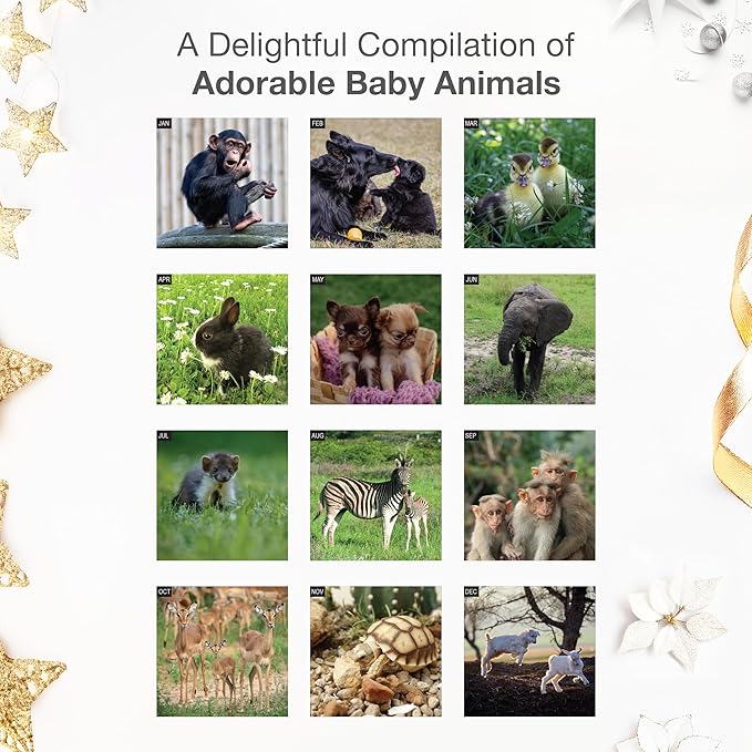 RED EMBER Select - Baby Animals 2026 Wall Calendar 12 Month | 12” x 24” Open | Thick & Sturdy Paper | Giftable | Wild Cute Kids Baby Animals Calendar 2026