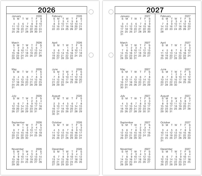 AT-A-GLANCE 2027 Desk Calendar Refill for E2100 Base, Daily Desk Pad Refill, 4.5" x 8", Standard, Loose-Leaf (E2105027)