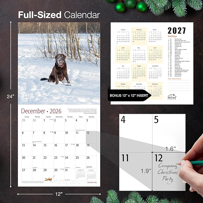 MICASA PRESS Chocolate Labs 2026 Wall Calendar 12 Month | 12" x 24" Open | Thick & Sturdy Paper | Giftable | Cute Labrador Retriever Puppy Dog Calendar 2026