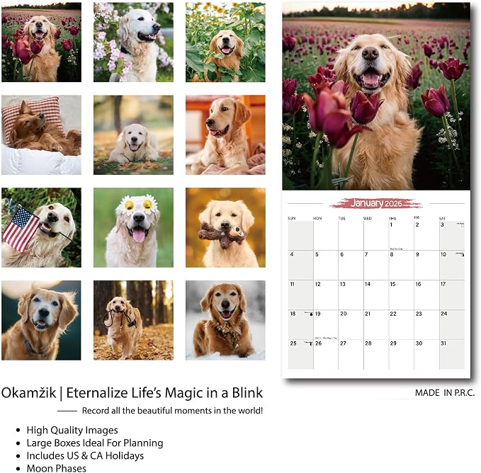 2026 Wall Calendar Golden Retriever Planner Calendar, Hangable Monthly Wall Calendar with Large Blocks for Organizing & Planning, Academic Schedule, Home, Office & family, Thick & Sturdy Paper (12"x24" Open)
