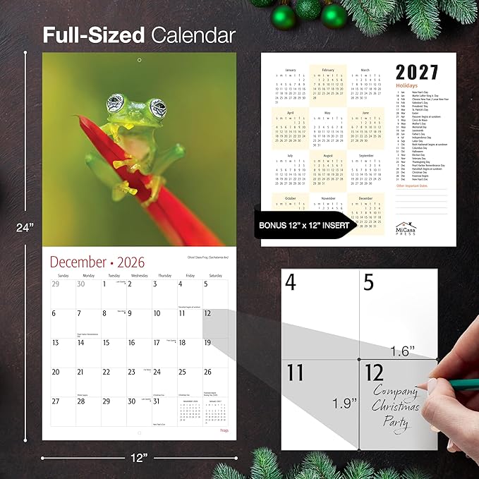 MICASA PRESS Frogs 2026 Wall Calendar 12 Month | 12” x 24” Open | Thick & Sturdy Paper | Giftable | Cute Animal Calendar 2026