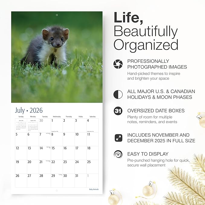 RED EMBER Select - Baby Animals 2026 Wall Calendar 12 Month | 12” x 24” Open | Thick & Sturdy Paper | Giftable | Wild Cute Kids Baby Animals Calendar 2026