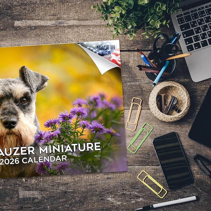 2025 2026 Miniature Schnauzer Calendar - Dog Breed Monthly Wall Calendar - 12" x 18" Open - Thick No-Bleed Paper - Giftable - Academic Teacher's Planner Calendar Organizing & Planning