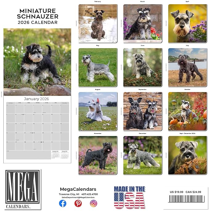 Miniature Schnauzer Calendar 2026 by MegaCalendars – Monthly Dog Breed Wall Calendar, Made in USA