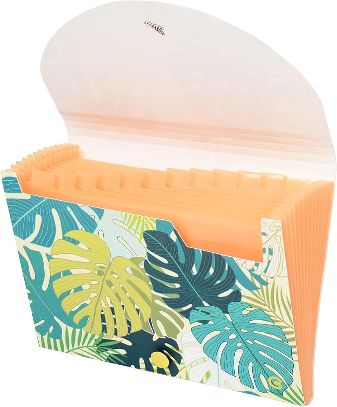 CNK File Folders Organizer with 13 Pockets Accordion Expanding Folder Documents Receipt Document Paper Pocket Filing Accordian Important Expandable Holder Files Alphabetical Labels Letter
