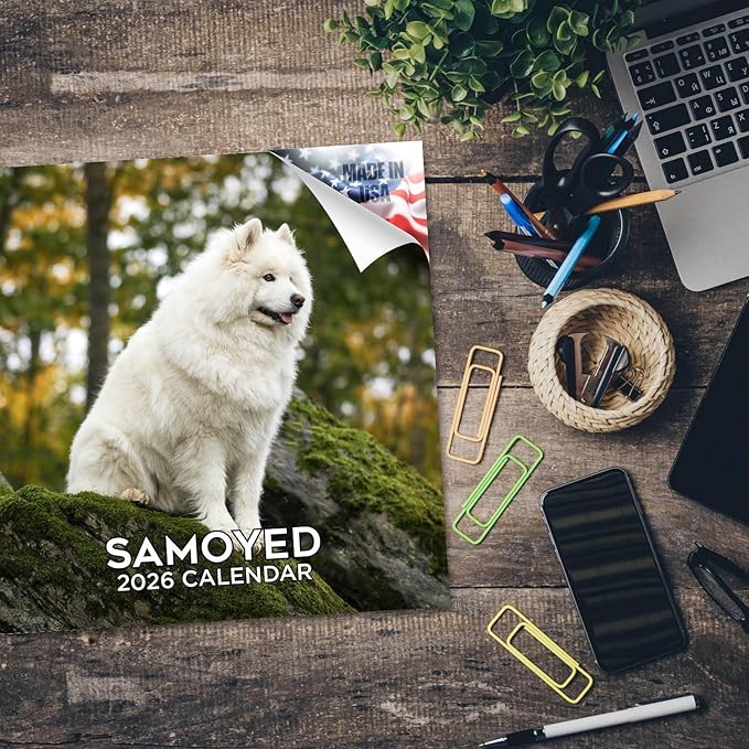 Samoyed Calendar 2026 by MegaCalendars – Monthly Dog Breed Wall Calendar, Made in USA