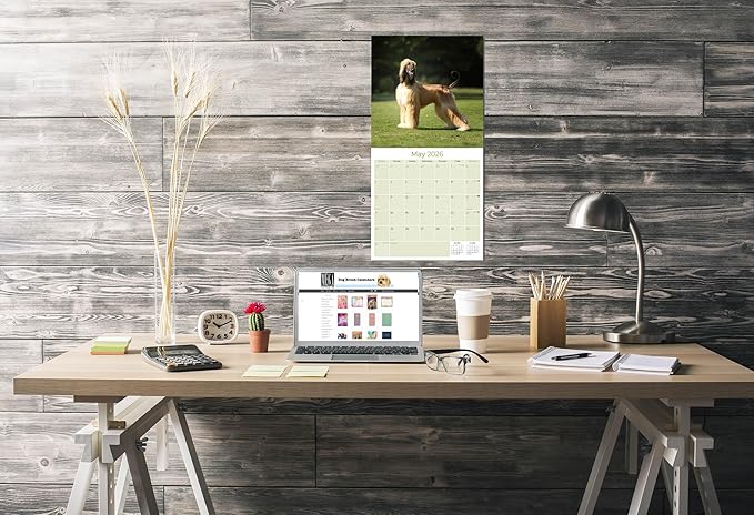Afghan Hound Calendar 2026 - Monthly Dog Breed Wall Calendar, 12x24 Open, Thick No-Bleed Paper, Made in USA by MegaCalendars