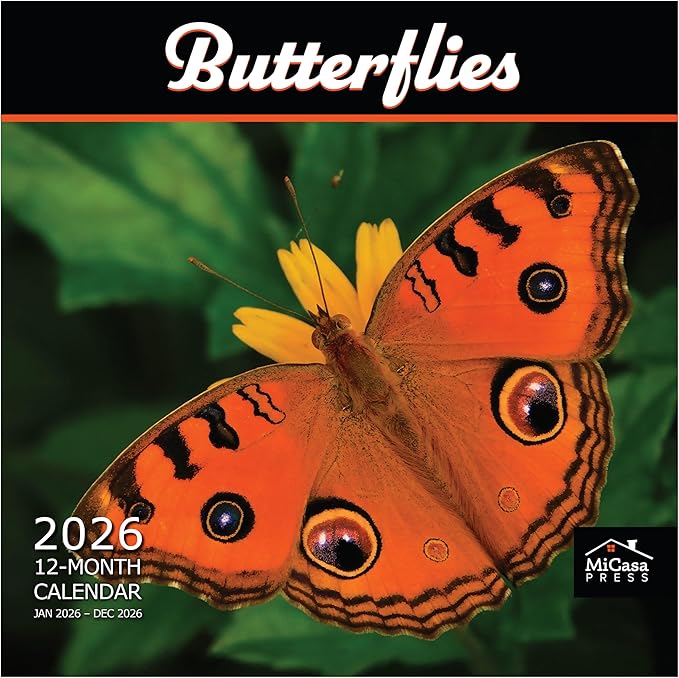 MICASA PRESS Butterflies 2026 Wall Calendar 12 Month | 12" x 24" Open | Thick & Sturdy Paper | Giftable | Animal Calendar 2026