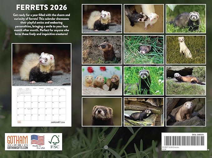 Ferret Calendar 2026 Monthly Wall Calender 12 Month | American Made In The USA