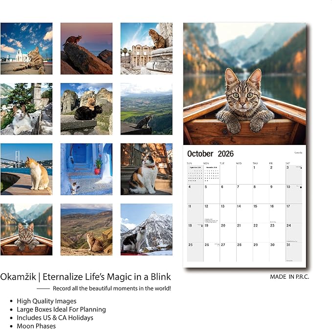 Wall Calendar 2026 Planner Calendar - Cat arond a world Hangable Monthly Wall Calendar with Large Blocks for Organizing & Planning, Academic Schedule, Home, Office & family, Thick & Sturdy Paper (12"x24" Open)