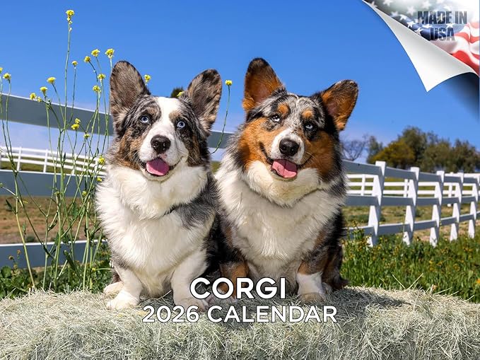 2025 2026 Corgi Calendar - Dog Breed Monthly Wall Calendar - 12" x 18" Open - Thick No-Bleed Paper - Giftable - Academic Teacher's Planner Calendar Organizing & Planning - Made in USA
