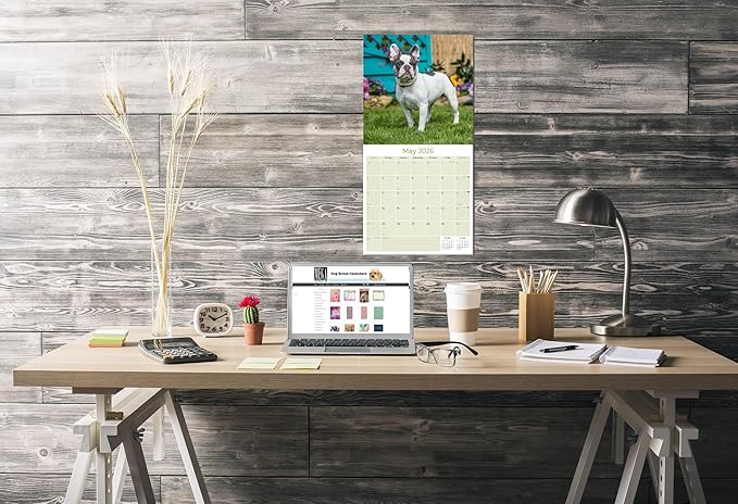 French Bulldog Calendar 2026 – 16-Month Dog Breed Wall Calendar by MegaCalendars – Large Daily Blocks, Thick No-Bleed Paper, Made in USA