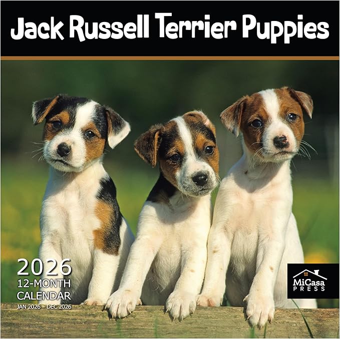 MICASA PRESS Jack Russell Terrier Puppies 2026 Wall Calendar 12 Month | 12" x 24" Open | Thick & Sturdy Paper | Giftable | Cute Puppy Dog Calendar 2026