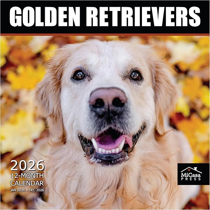 MICASA PRESS Golden Retrievers 2026 Wall Calendar 12 Month | 12" x 24" Open | Thick & Sturdy Paper | Giftable | Cute Puppy Dog Calendar 2026