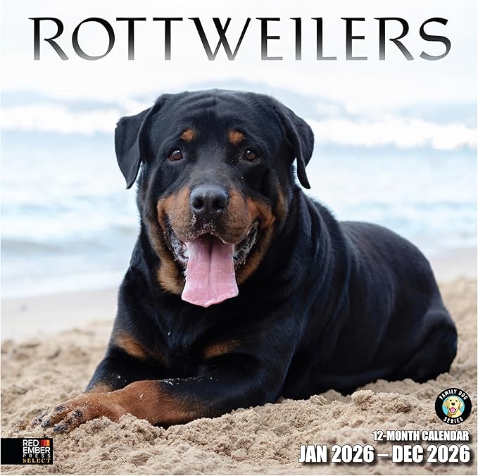 RED EMBER Select - Rottweilers 2026 Wall Calendar 12 Month | 12" x 24" Open | Thick & Sturdy Paper | Giftable | Cute Puppy Dog Calendar 2026