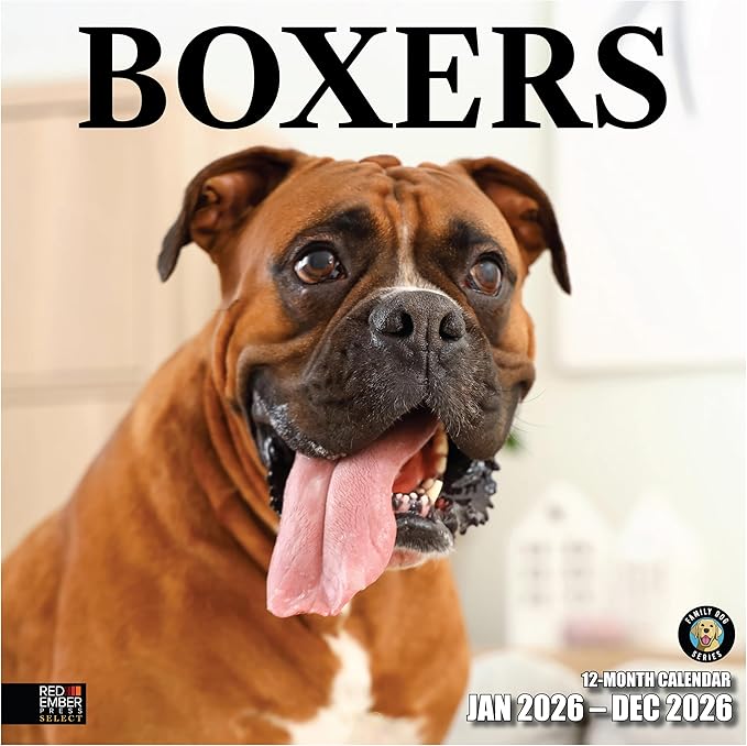 RED EMBER Select - Boxers 2026 Wall Calendar 12 Month | 12" x 24" Open | Thick & Sturdy Paper |Giftable | Cute Puppy Dog Calendar 2026