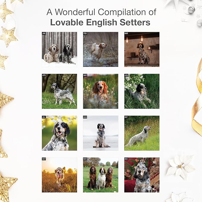 RED EMBER English Setters 2026 Wall Calendar 12 Month | 12" x 24" Open | Thick & Sturdy Paper |Giftable | Cute Puppy Dog Calendar 2026