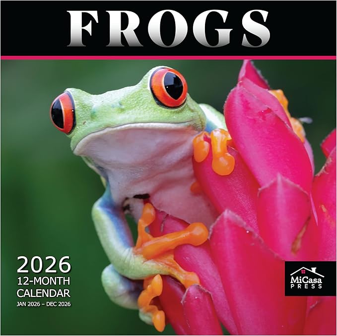 MICASA PRESS Frogs 2026 Wall Calendar 12 Month | 12” x 24” Open | Thick & Sturdy Paper | Giftable | Cute Animal Calendar 2026