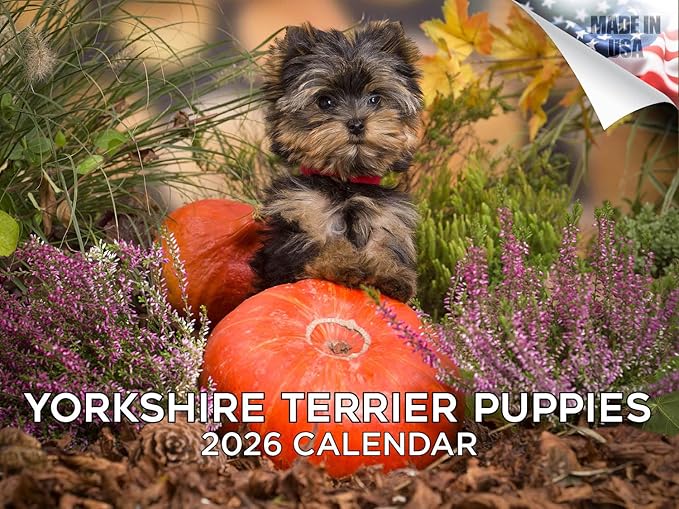 2025 2026 Yorkshire Terrier Puppies Calendar - Dog Breed Monthly Wall Calendar - 12" x 18" Open - Thick No-Bleed Paper - Giftable - Academic Teacher's Planner Calendar Organizing & Planning - Made USA