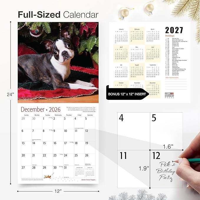 RED EMBER Select - Boston Terrier Puppies 2026 Wall Calendar 12 Month | 12" x 24" Open | Thick & Sturdy Paper | Giftable | Cute Puppy Dog Calendar 2026