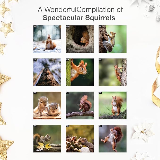 RED EMBER Select - Squirrels 2026 Wall Calendar 12 Month | 12" x 24" Open | Thick & Sturdy Paper | Giftable | Funny Animal Calendar 2026