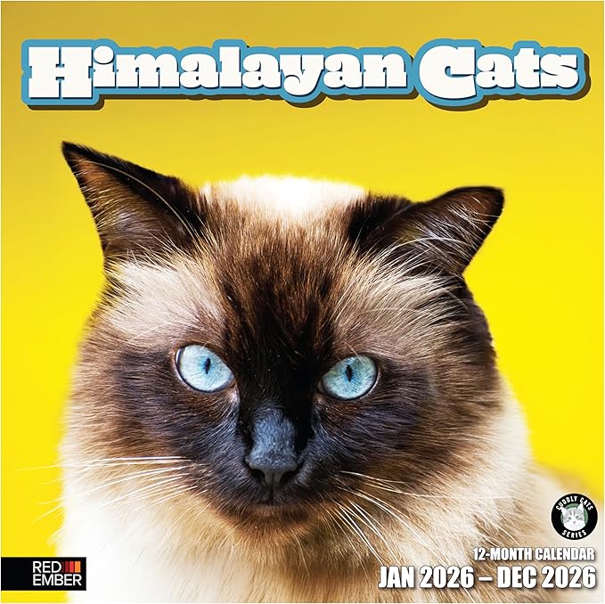 RED EMBER Himalayan Cats 2026 Wall Calendar 12 Month | 12" x 24" Open | Thick & Sturdy Paper | Giftable | Cute Kitten Cat Calendar 2026