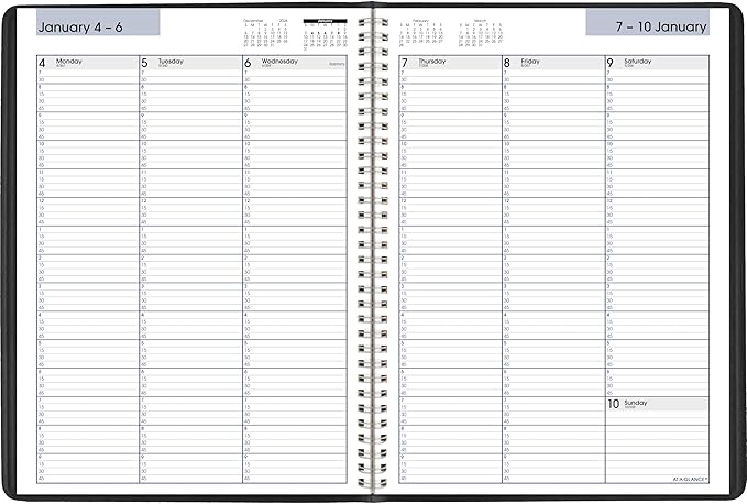 AT-A-GLANCE 2027 Appointment Book Planner, Weekly, 8" x 11", Quarter-Hourly, DayMinder, Black (G5200027)