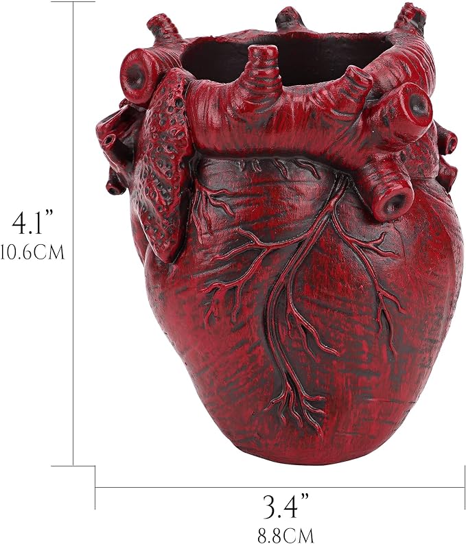 Anatomical Heart Pencil Holder, Red Resin Organ-Shaped Pen Cup Desk Organizer, Realistic Human Heart Decor, Stable Base