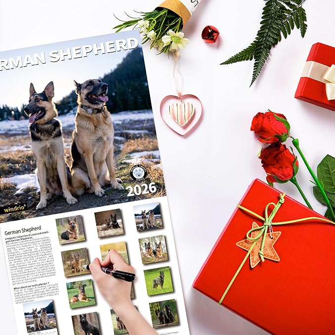 2026 Wall Calendar,Calendar 2026, November 2025 - December 2026, Wall Calendar German Shepherd, 12" x 24" Opened,Full Page Months Thick & Sturdy Paper for Calendar Organizing & Planning
