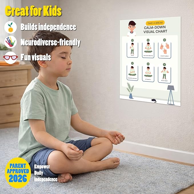 Educational Chart for Kids Step by Step Laminated 9x12 Inch for Children Self Care Visual Chart Ideal for Special Needs and Autism (Calm Down Routine Chart)