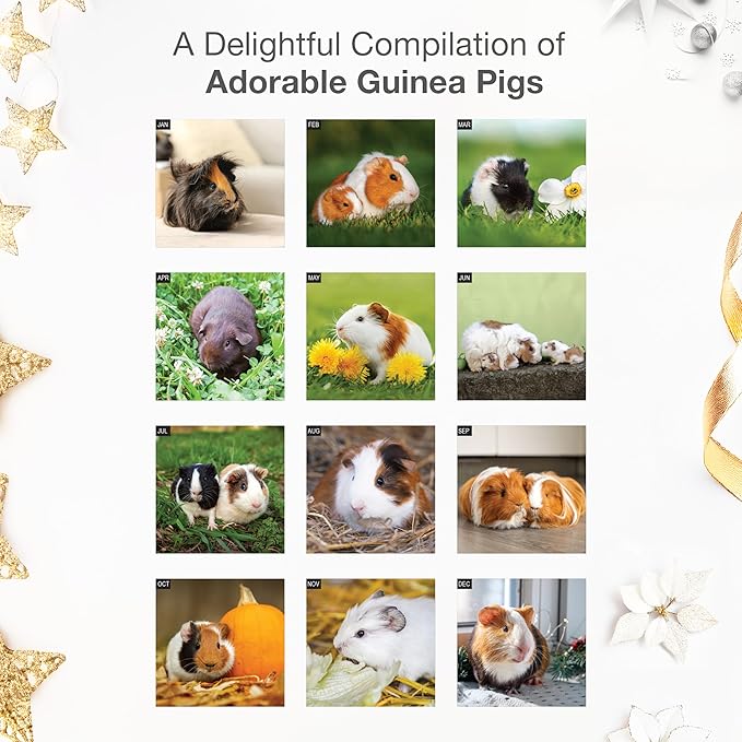 RED EMBER Select - Guinea Pigs 2026 Wall Calendar 12 Month | 12” x 24” Open | Thick & Sturdy Paper | Giftable | Cute Funny Animal Kids Calendar 2026